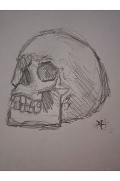 a pencil drawing of a skull with teeth