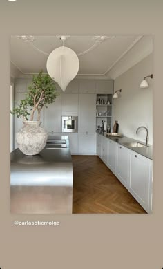 a bonsai tree in a large pot on top of a kitchen counter with stainless steel appliances