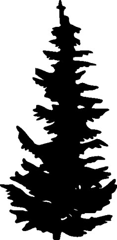 a black and white silhouette of a pine tree