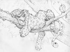 a pencil drawing of a leopard resting on a tree branch with a bird perched on it