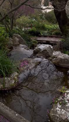 a small stream running through a forest filled with trees and flowers next to a wooden bridge