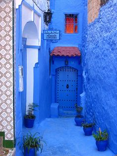 an alley way with blue walls and potted plants