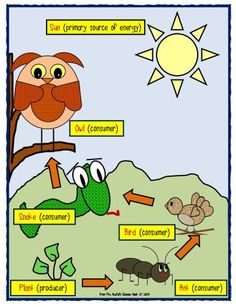 an animal and its environment are labeled in the diagram