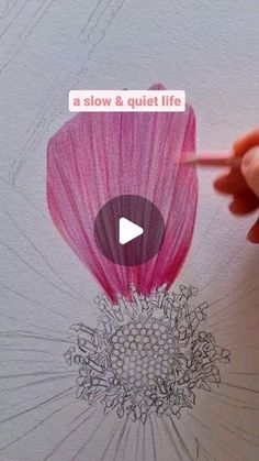 someone is drawing a flower with colored pencils