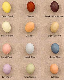 an image of different colored eggs on a piece of paper with the names of them