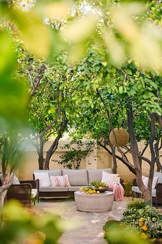 an outdoor living area with couches, tables and trees