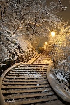 an image of snow on the ground and stairs in front of trees with text that reads,