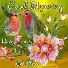 good morning have a lovely day with two birds and flowers on yellow background, greeting card