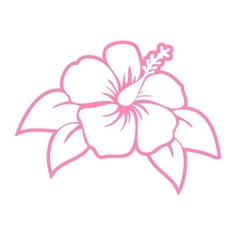 a pink flower on a white background