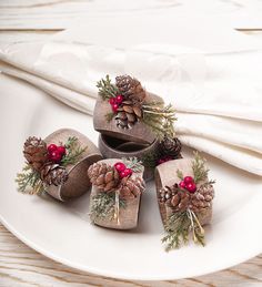 some pine cones are sitting on a white plate