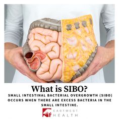 East West Health is here to help you feel better! SIBO is a newly discovered condition that is treatable. Learn more about SIBO and how to feel better. Cleaning Your Colon, Small Intestine Bacterial Overgrowth, Visceral Fat, Skin Collagen, Sweet Potato Fries, Vitamin D, Omega 3, Gut Health, Feel Better