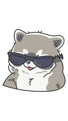 a raccoon with sunglasses on it's face