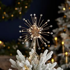 Create your own festive magic with the Vivvi by Seasonal Bluetooth-enabled star tree topper. Using the Hello Fairy app, you can select your personal colors and light modes, ensuring a uniquely personalized touch to your Christmas tree. Pinterest Christmas Decor, Tree Star Topper, Xmas Tree Toppers, Christmas Tree Star Topper, Best Christmas Tree, Spruce Christmas Tree, Fir Christmas Tree, Pine Christmas Tree, Tree Star