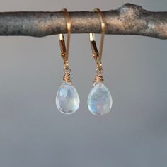 Gorgeous Moonstone teardrop gems full of sparkly facets hang from secure, hinged-back 14k goldfill ear wires (the back of the ear wire clicks into place, making the earrings impossible to lose when you're wearing them). Total length of the earrings is just over 1 inch from the curve of the ear wire to the bottom of the drop. The moonstone gems are slim teardrops measuring approximately 3/8 inch long, and the color is pure white with stunning flashes of blue shimmer. Each moonstone stone is uniqu Everyday Teardrop Gemstone Jewelry, Adjustable Teardrop Moonstone Earrings, Adjustable Teardrop Moonstone Jewelry, Gold Teardrop Moonstone Jewelry, Teardrop Moonstone Jewelry In Yellow Gold, Yellow Gold Teardrop Moonstone Jewelry, Hypoallergenic Teardrop Moonstone Jewelry, Teardrop Earrings With Lever Back Ear Wires, Faceted Moonstone Teardrop Earrings