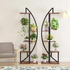 a living room filled with furniture and lots of potted plants on top of shelves