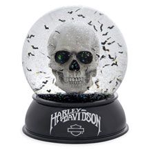 a snow globe with a skull in it