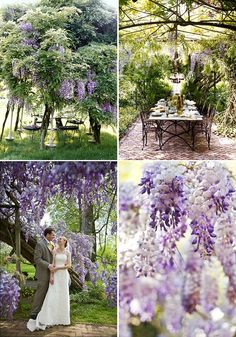 an instagram page with pictures of people in wedding dresses and the words, wedder wisteria new orleanswedding