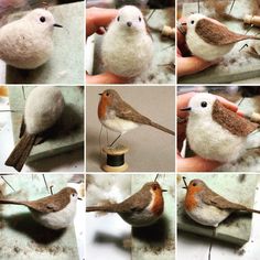 several pictures of different types of birds with needles in their beaks and feathers on them