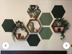 the wall is decorated with hexagonal shelves and plants