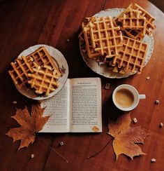 some waffles are sitting on a plate next to an open book