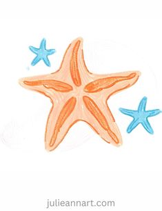 an orange and blue starfish sitting next to each other