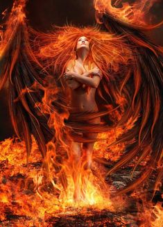 31 Pheonix women ideas | phoenix tattoo, fantasy art, phoenix art