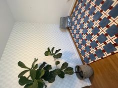 a potted plant sitting on top of a wooden floor next to a wall mounted air conditioner