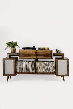 an entertainment center with record player, plant and vinyl records on it's sides