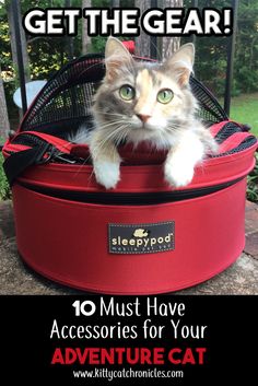 a cat sitting in a red suitcase with the caption get the gear 10 must have accessories for your adventure cat