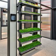 an indoor planter with grass growing on the shelves in front of glass doors and windows