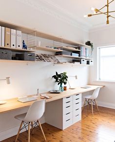 a room with two desks and shelves on the wall, one has a potted plant in it