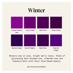 Deep Winter Purple, True Winter Neutrals, Sultry Winter House Of Colour, January Palette, Soft Deep Winter, Cool Winter Palette, Bright Winter Color Palette, Dark Winter Color Palette, True Winter Palette