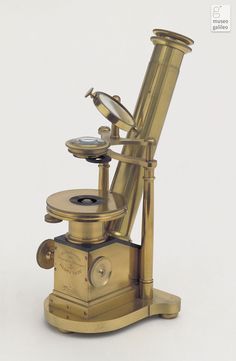 an antique brass microscope on white background with clippings to the top and bottom