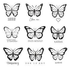 the different types of butterflies that can be seen in this drawing