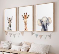 three framed pictures of giraffes, an elephant and a zebra are hanging on the wall