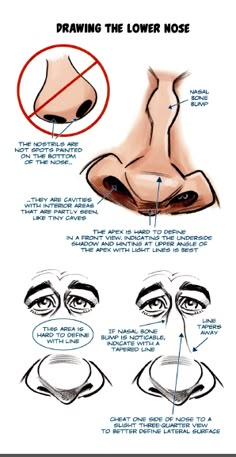 how to draw the lower nose with step by step drawing instructions for kids and adults