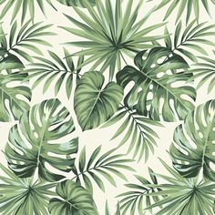 a green and white wallpaper with tropical leaves