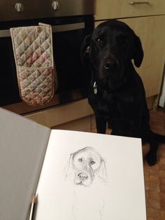 a black dog sitting next to a drawing on a paper in front of an oven