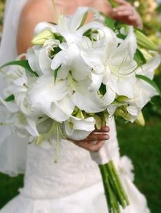 a bride holding a bouquet of white flowers