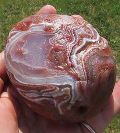 a person holding a large brown rock in their hand with grass behind it on the ground