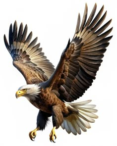 an eagle flying through the air with its wings spread