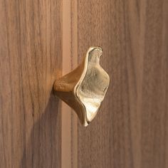 a wooden door with a brass handle on it