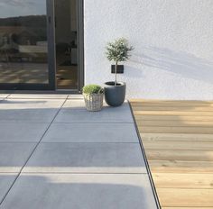 a potted plant sitting on top of a wooden deck