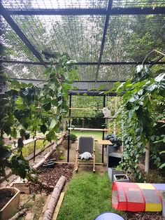 an outdoor garden with lots of plants and other things in the area that is fenced off