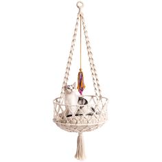 Feature: 【Mewoofun Cat bed】Unique design bohemian-style cat swing bed, unique appearance, combined with tassel pendants, this cat bed is stylish and simple, equipped with woven mat, providing a comfortable habitat for cats , also add a touch of beauty to the home. 【Robust And Reliable】Meoowfun cat swing made of handwoven heavy-duty cotton rope and made of hard solid iron ring, very safe and sturdy. Hold up to 18lbs. Finished with braided an "O" ring loops at top of the hammock for hanging, it's Cat Window Bed, Cat Window Hammock, Macrame Cat Hammock, Cats Sleeping, Niche Chat, Cat Window Perch, Window Perch, Pet Hammock, Hammock Bed