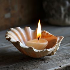 a candle in a shell on a wooden table