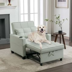 a white dog laying on top of a light green chair in front of a fireplace