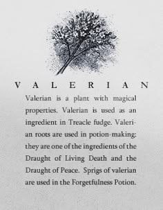 a poem written in black and white with an image of a tree on the back