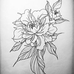 a black and white drawing of some flowers