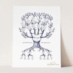 Family Branches Hamptons Blue Digital Family Tree Template MyGeneTree 5 Generation Family Tree, Family Tree Templates, Family Tree Project, Family Tree Template, Email Invitation, Sense Of Belonging, Tree Templates, Family Research, Great Grandparents